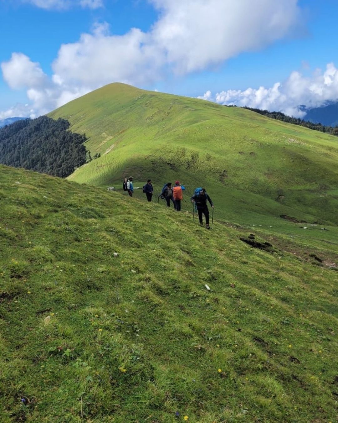 ALI BEDNI BUGYAL TREK