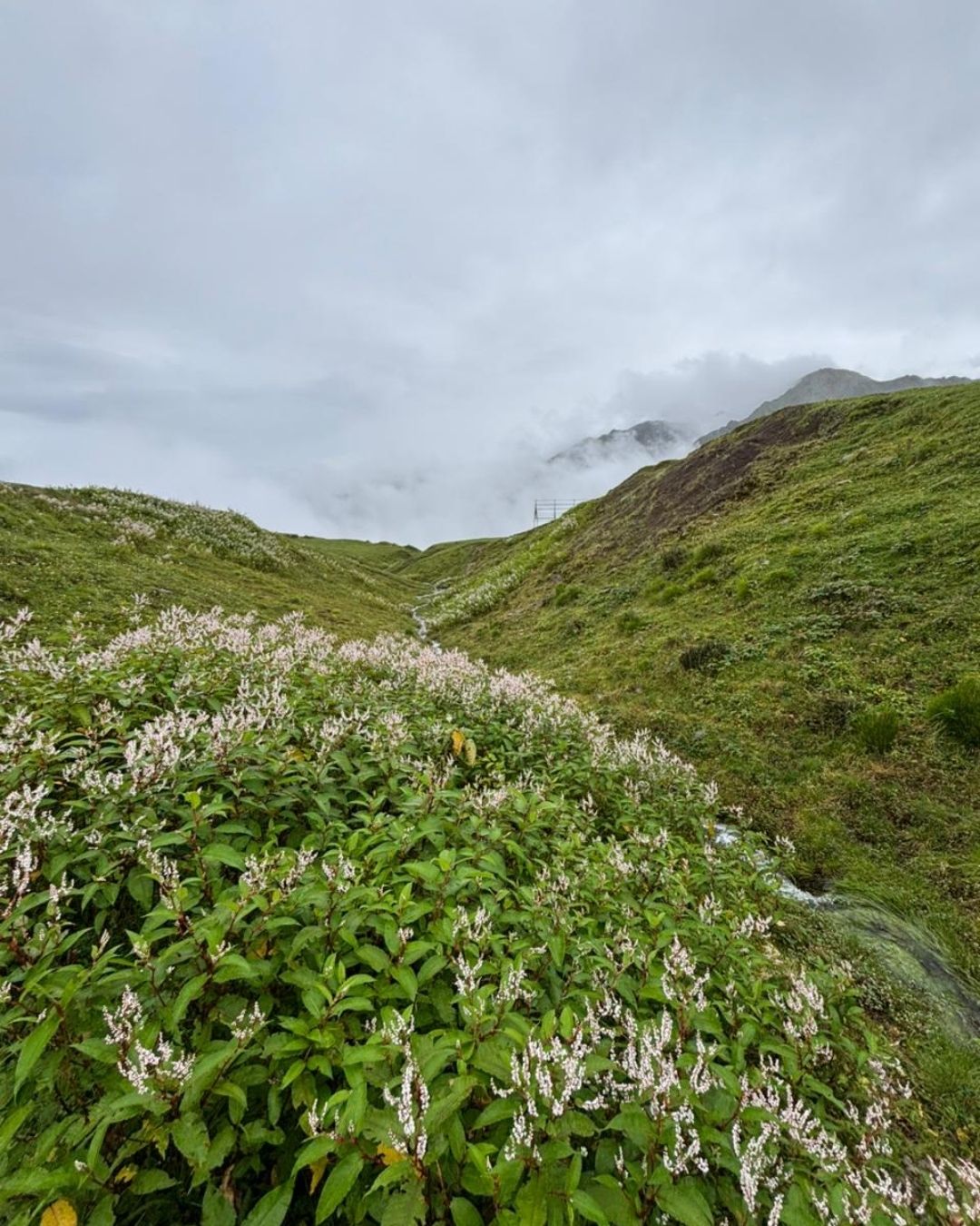 ROOPKUND TREK - THE SKELETON LAKE
