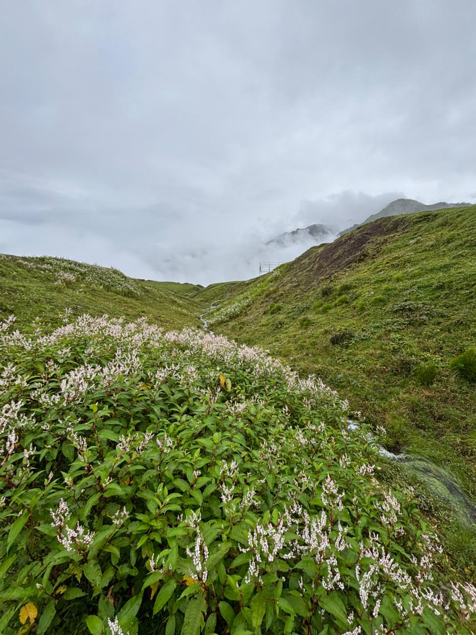 ALI BEDNI BUGYAL TREK