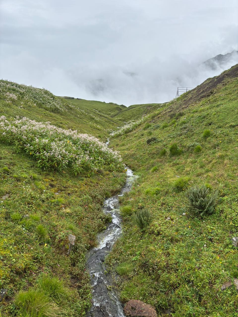 ALI BEDNI BUGYAL TREK