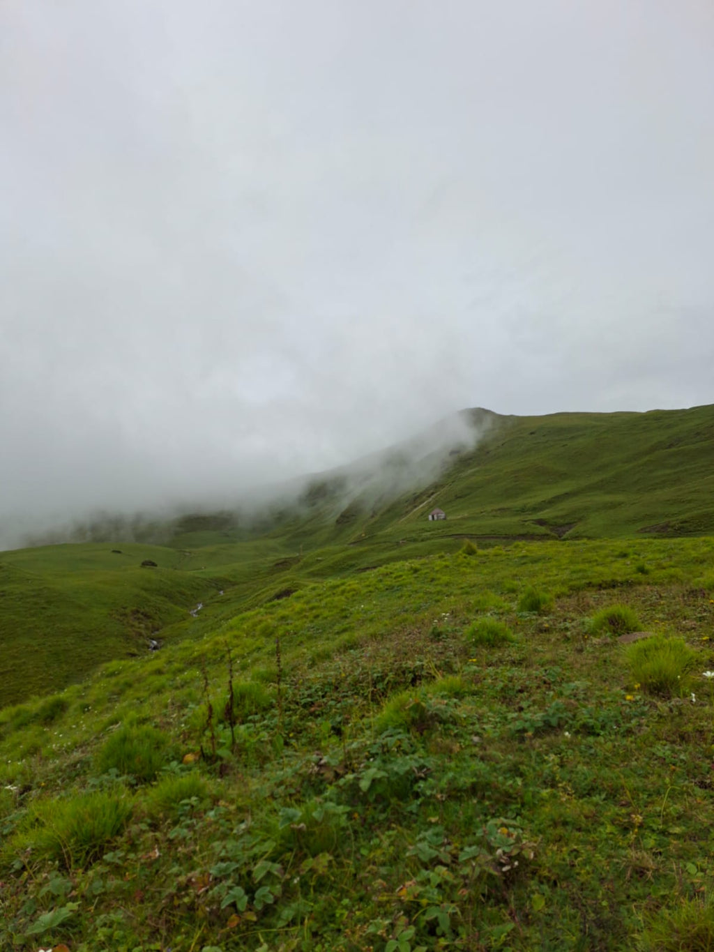 ALI BEDNI BUGYAL TREK
