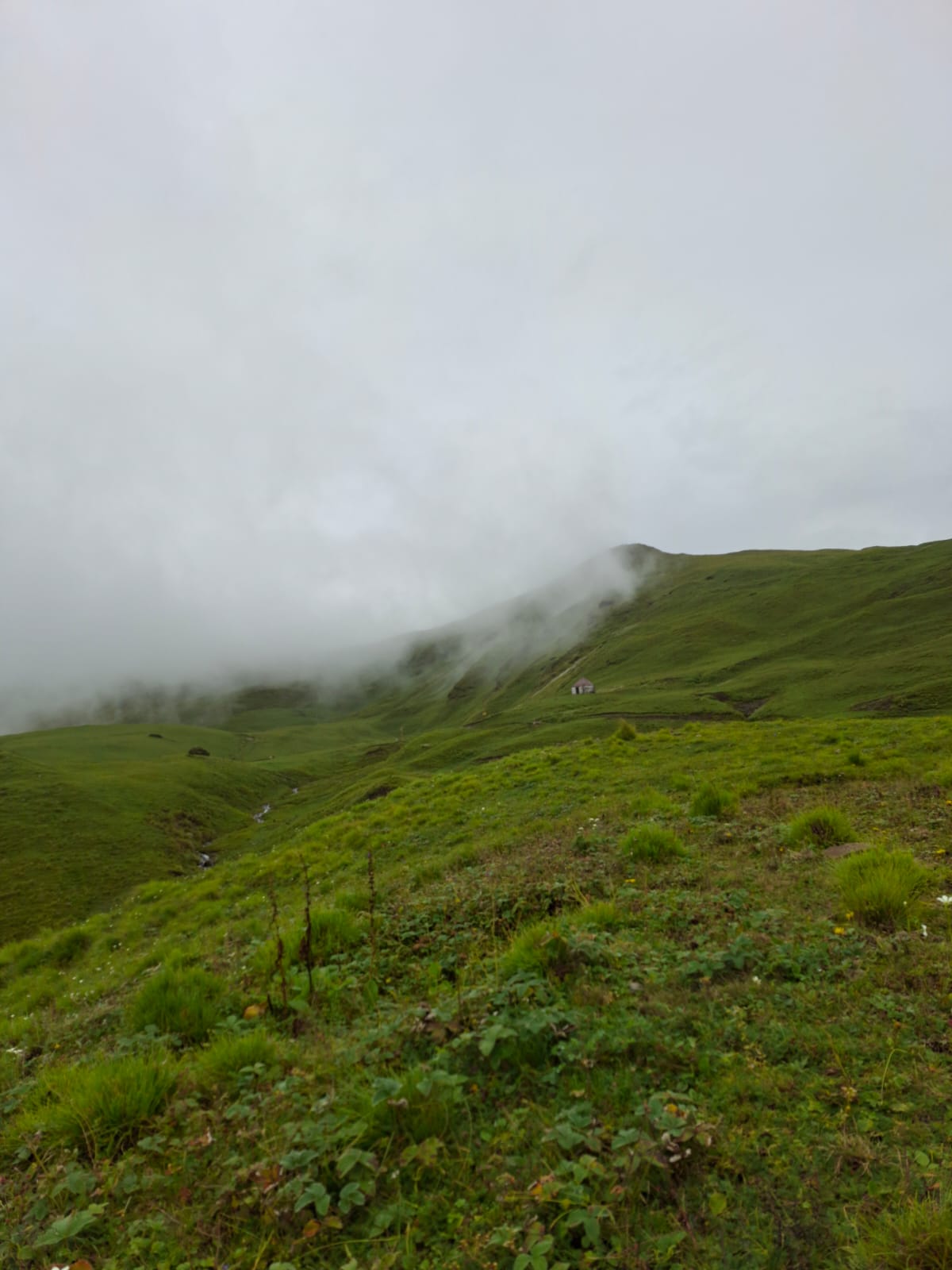 ALI BEDNI BUGYAL TREK
