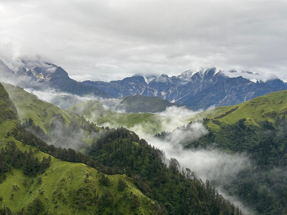 ALI BEDNI BUGYAL TREK