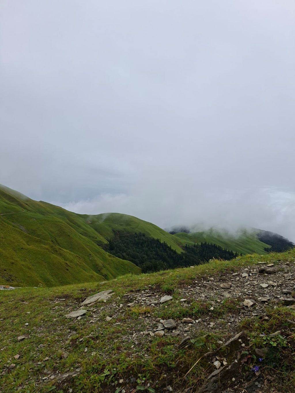 ALI BEDNI BUGYAL TREK